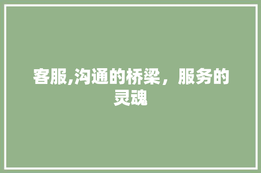 客服,沟通的桥梁，服务的灵魂