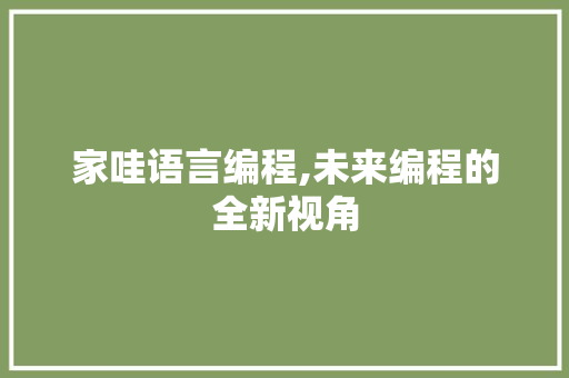 家哇语言编程,未来编程的全新视角