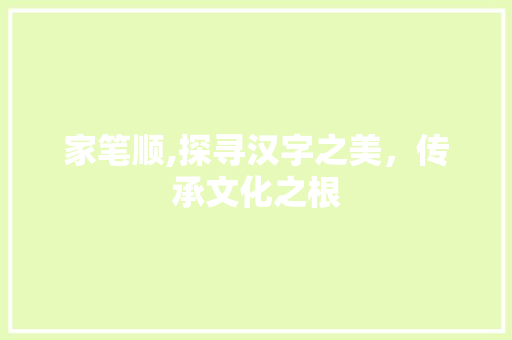 家笔顺,探寻汉字之美，传承文化之根