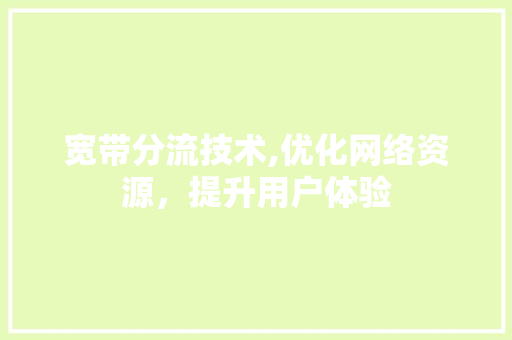 宽带分流技术,优化网络资源，提升用户体验