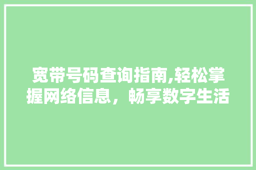 宽带号码查询指南,轻松掌握网络信息，畅享数字生活