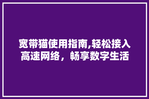 宽带猫使用指南,轻松接入高速网络，畅享数字生活