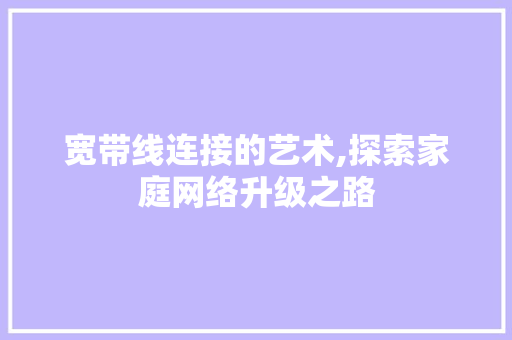 宽带线连接的艺术,探索家庭网络升级之路