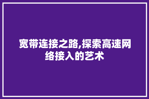 宽带连接之路,探索高速网络接入的艺术
