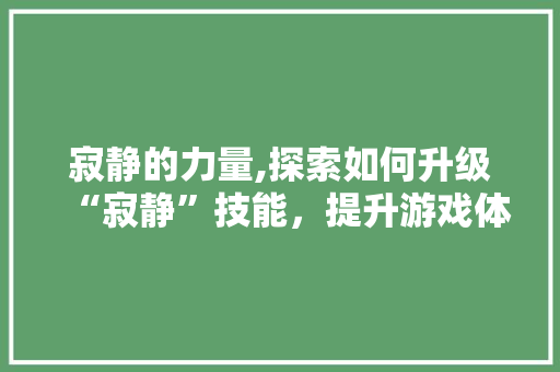寂静的力量,探索如何升级“寂静”技能，提升游戏体验