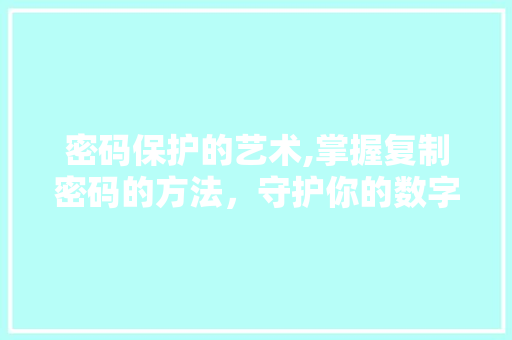 密码保护的艺术,掌握复制密码的方法，守护你的数字世界