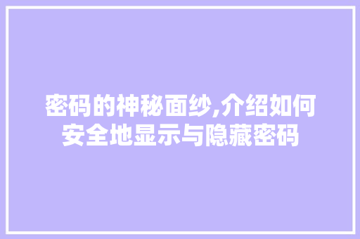 密码的神秘面纱,介绍如何安全地显示与隐藏密码