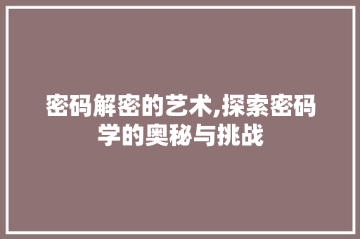 密码解密的艺术,探索密码学的奥秘与挑战