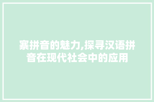寨拼音的魅力,探寻汉语拼音在现代社会中的应用