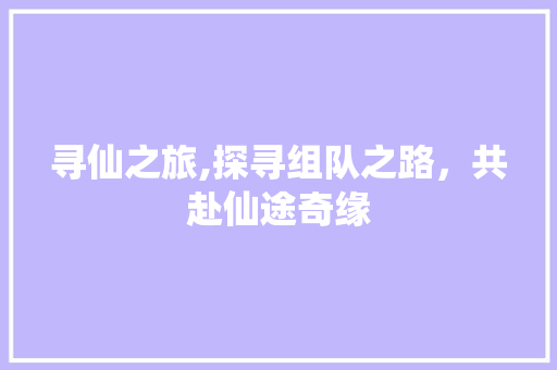 寻仙之旅,探寻组队之路，共赴仙途奇缘