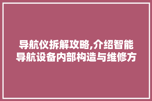 导航仪拆解攻略,介绍智能导航设备内部构造与维修方法