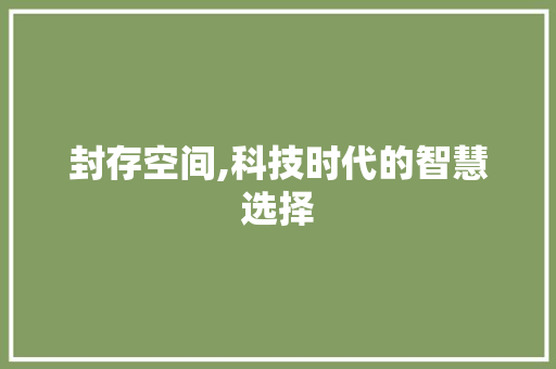 封存空间,科技时代的智慧选择