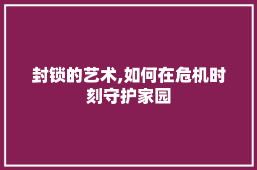 封锁的艺术,如何在危机时刻守护家园