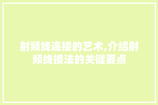 射频线连接的艺术,介绍射频线接法的关键要点 SEO教程