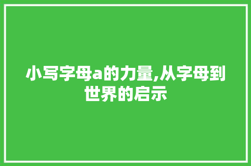 小写字母a的力量,从字母到世界的启示