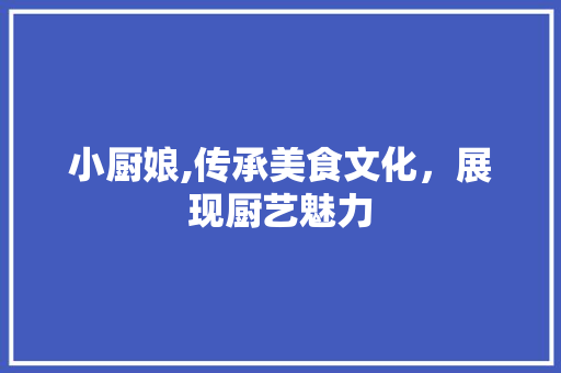 小厨娘,传承美食文化，展现厨艺魅力