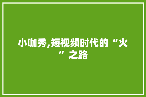小咖秀,短视频时代的“火”之路