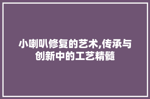 小喇叭修复的艺术,传承与创新中的工艺精髓