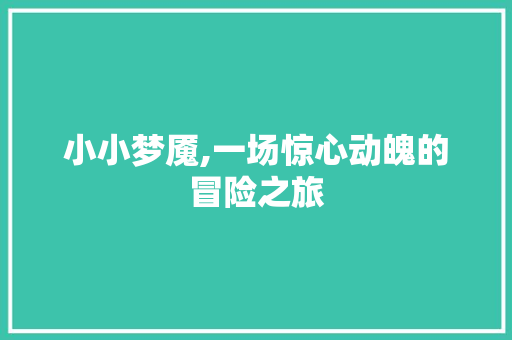 小小梦魇,一场惊心动魄的冒险之旅