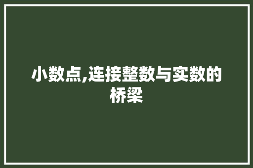 小数点,连接整数与实数的桥梁