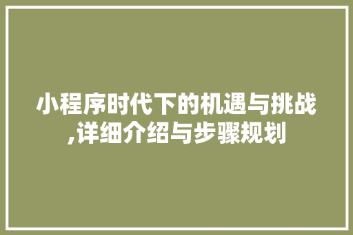 小程序时代下的机遇与挑战,详细介绍与步骤规划 WordPress教程
