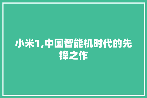 小米1,中国智能机时代的先锋之作