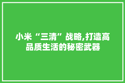 小米“三清”战略,打造高品质生活的秘密武器 服务器/数据库