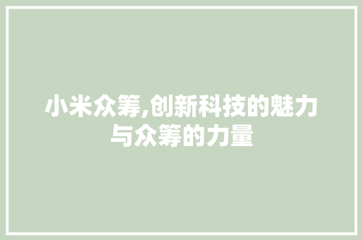 小米众筹,创新科技的魅力与众筹的力量