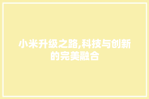 小米升级之路,科技与创新的完美融合 建站教程