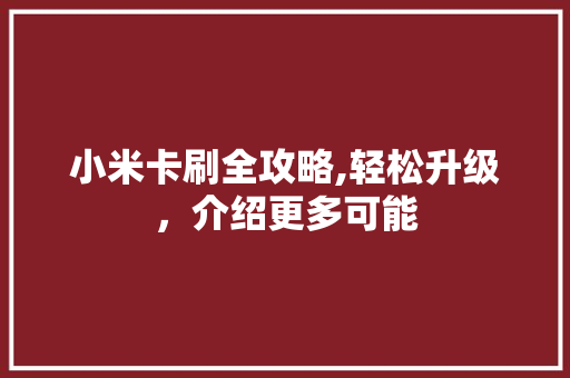 小米卡刷全攻略,轻松升级，介绍更多可能