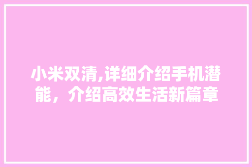 小米双清,详细介绍手机潜能，介绍高效生活新篇章