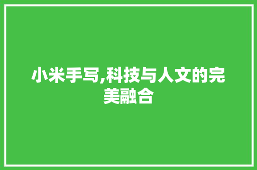 小米手写,科技与人文的完美融合