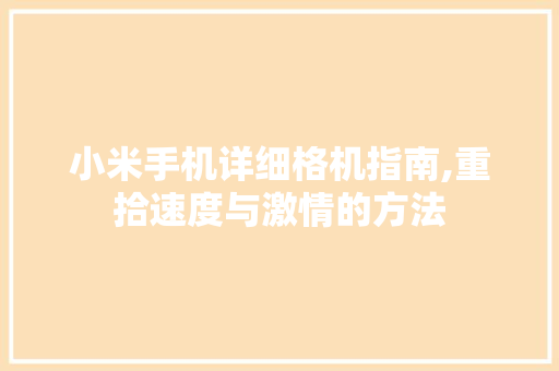 小米手机详细格机指南,重拾速度与激情的方法