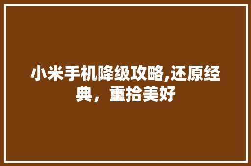 小米手机降级攻略,还原经典，重拾美好