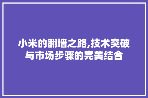 小米的翻墙之路,技术突破与市场步骤的完美结合 友链在线