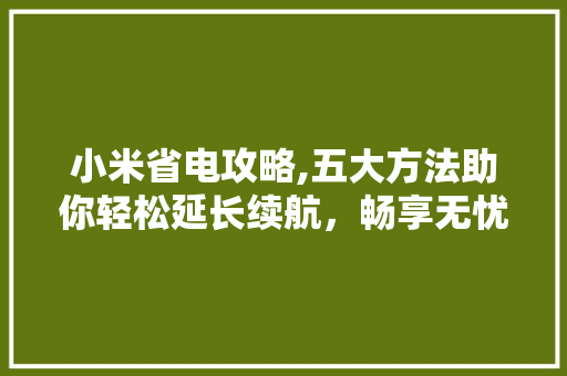 小米省电攻略,五大方法助你轻松延长续航，畅享无忧