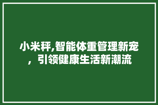 小米秤,智能体重管理新宠，引领健康生活新潮流