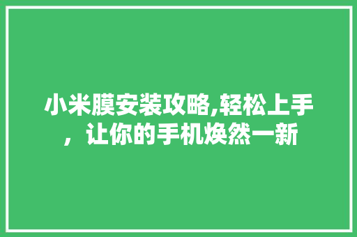 小米膜安装攻略,轻松上手，让你的手机焕然一新 WordPress教程