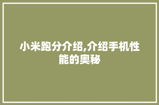 小米跑分介绍,介绍手机性能的奥秘