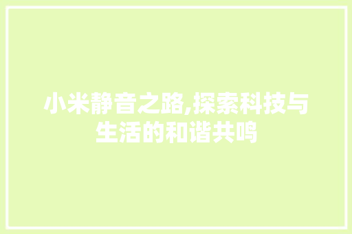 小米静音之路,探索科技与生活的和谐共鸣