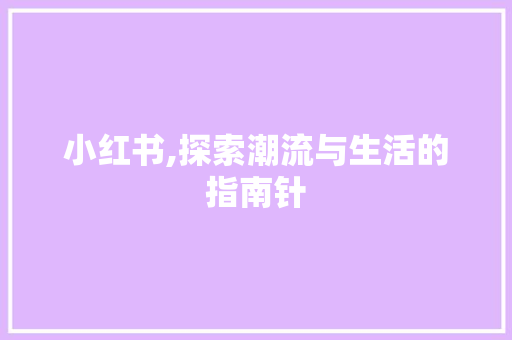 小红书,探索潮流与生活的指南针