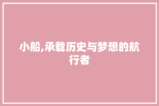 小船,承载历史与梦想的航行者