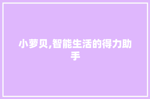 小萝贝,智能生活的得力助手