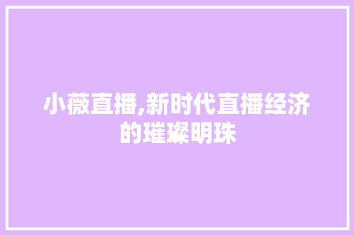 小薇直播,新时代直播经济的璀璨明珠