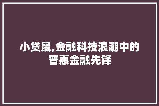 小贷鼠,金融科技浪潮中的普惠金融先锋