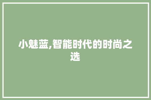 小魅蓝,智能时代的时尚之选
