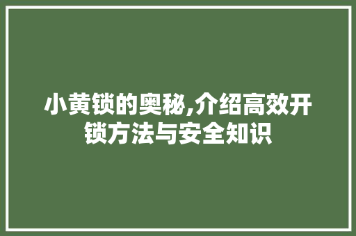 小黄锁的奥秘,介绍高效开锁方法与安全知识