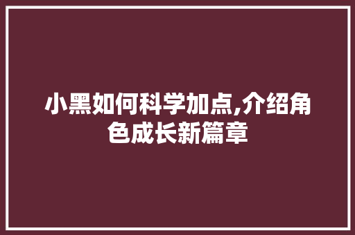 小黑如何科学加点,介绍角色成长新篇章 SEO教程