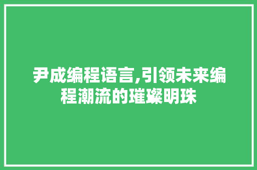尹成编程语言,引领未来编程潮流的璀璨明珠