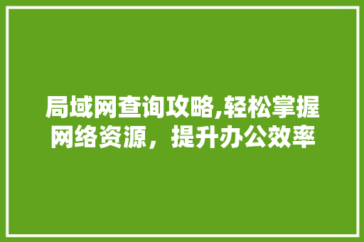 局域网查询攻略,轻松掌握网络资源，提升办公效率